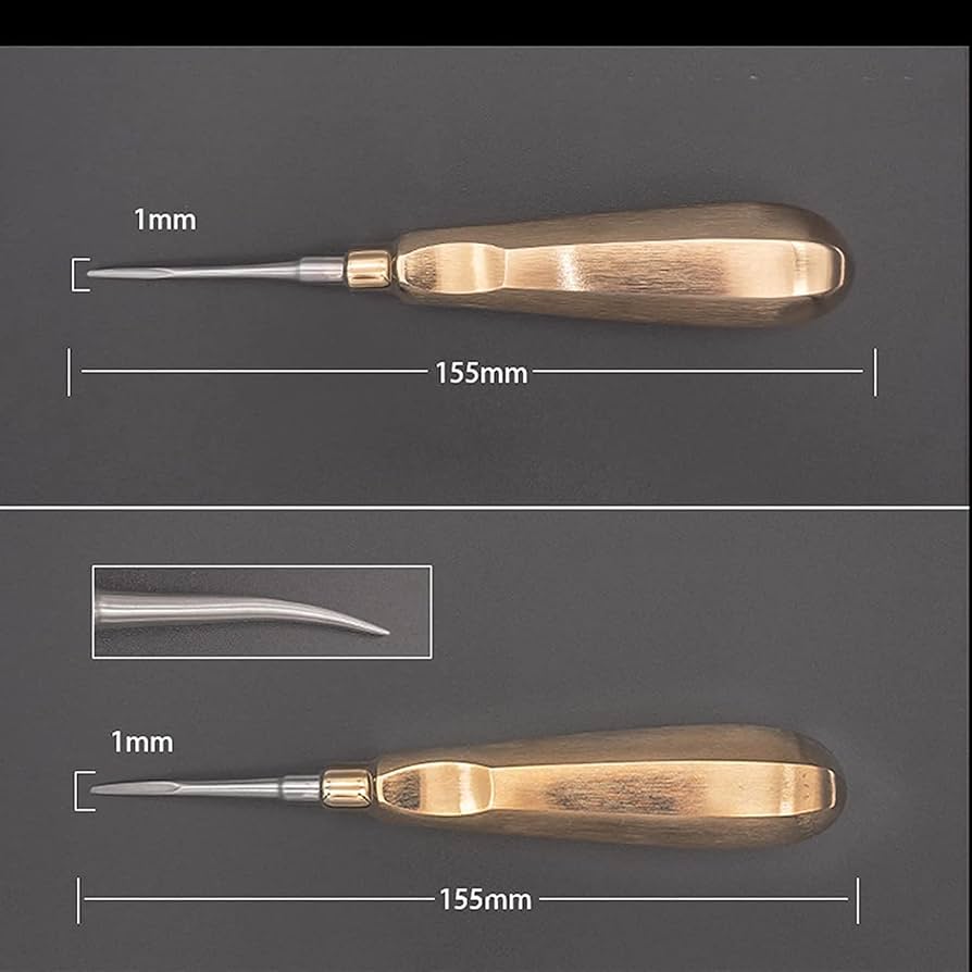 Amazon.co.jp: 歯の抜歯セット、ステンレス鋼の歯科用